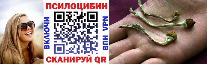 Галлюциногенные грибы Magic Shrooms  Курчатов 