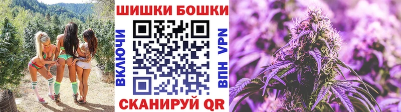 купить наркотик  Курчатов  Бошки марихуана OG Kush 